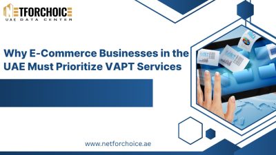 Why E-Commerce Businesses in the UAE Must Prioritize VAPT Services