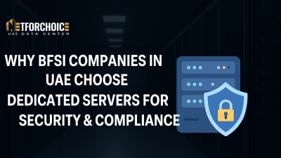 Dedicated Servers for BFSI in UAE