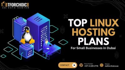 Top Linux Hosting Plans for Small Businesses in Dubai