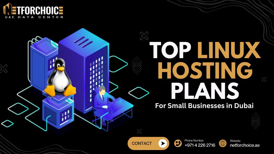 Top Linux Hosting Plans for Small Businesses in Dubai
