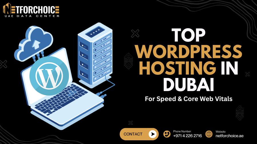 Top WordPress Hosting in Dubai