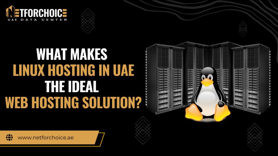 What Makes Linux Hosting in UAE the Ideal Web Hosting Solution